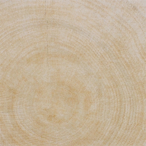 Gạch VietCeramics 30x30 30ABE