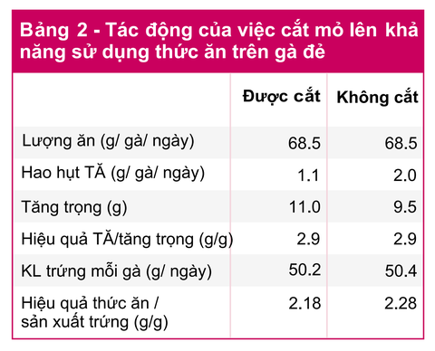 Công dụng của việc cắt mỏ gà