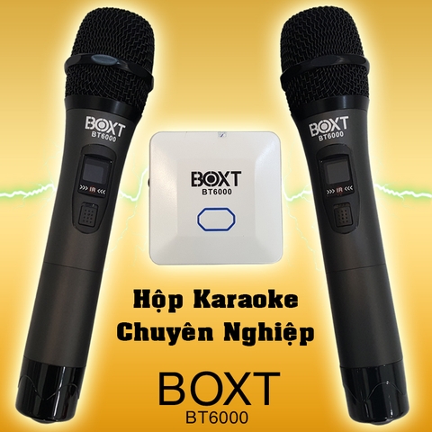 Box karaoke đa năng BOXT BT6000