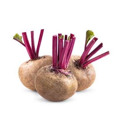 CỦ DỀN 500G