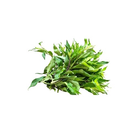 RAU RỪNG HỮU CƠ 300G