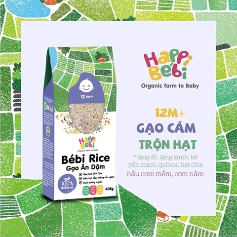 GẠO CÁM TRỘN HẠT HỮU CƠ CHO BÉ TỪ 12 THÁNG BEBI RICE 400G