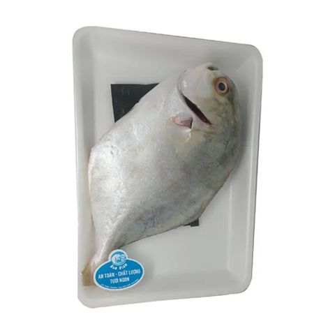 CÁ CHIM TRẮNG LÀM SẠCH ALO FISH