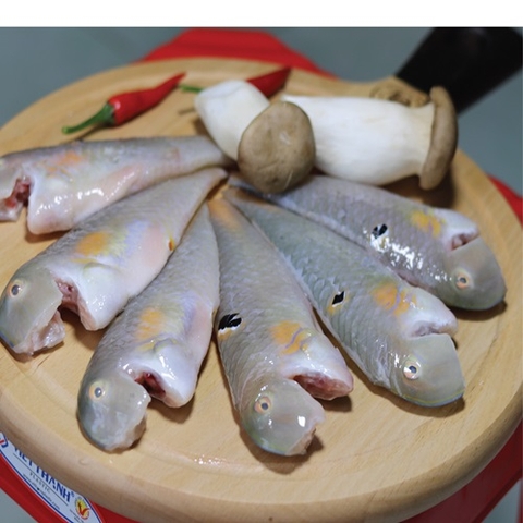 CÁ MÓ LÀM SẠCH ALO FISH 300G