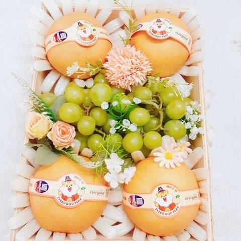 HỘP QUÀ TRÁI CÂY 8