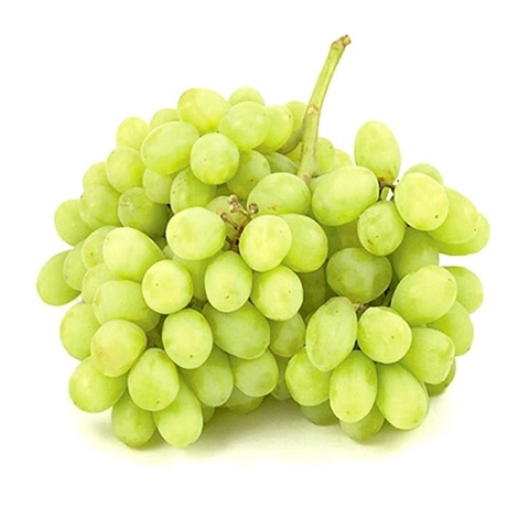 NHO XANH MỸ 1KG