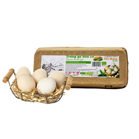 TRỨNG GÀ HỮU CƠ GIA HƯNG HỘP 10 TRỨNG