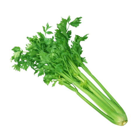 CẦN TÂY HỮU CƠ 250G