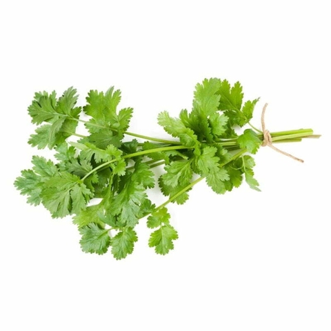 NGÒ RÍ HỮU CƠ 50G