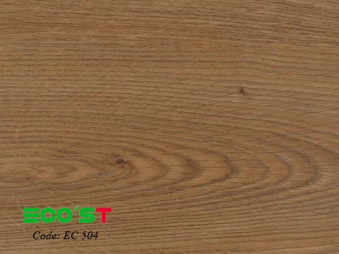 Sàn nhựa hèm khóa Eco'st mã EC504