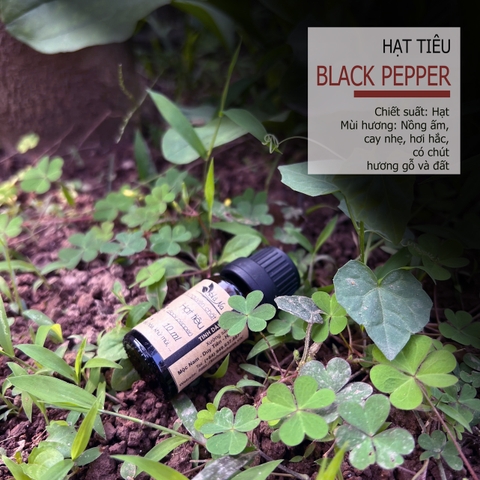 Tinh Dầu Hạt Tiêu BLACK PEPPER