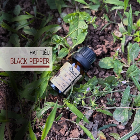 Tinh Dầu Hạt Tiêu BLACK PEPPER