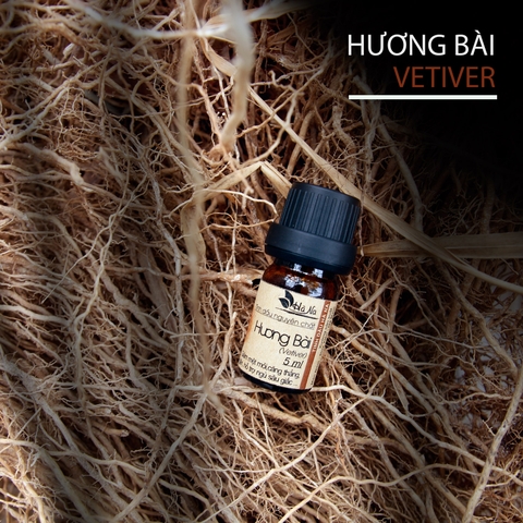 Tinh Dầu Hương Bài VETIVER