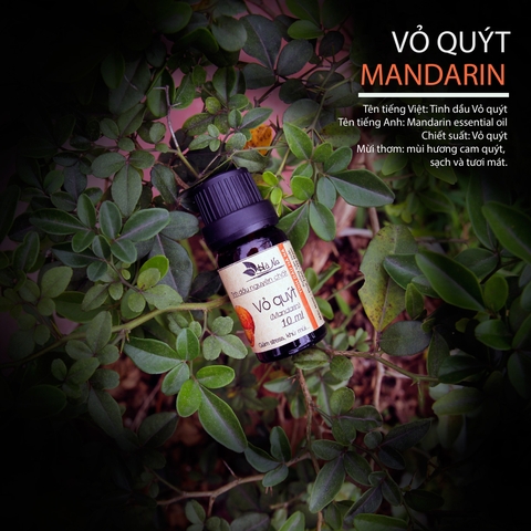 Tinh Dầu Vỏ Quýt MANDARIN