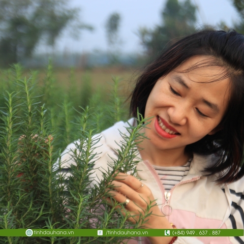 Tinh dầu Hương Thảo ROSEMARY