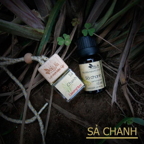 Tinh dầu treo Sả Chanh