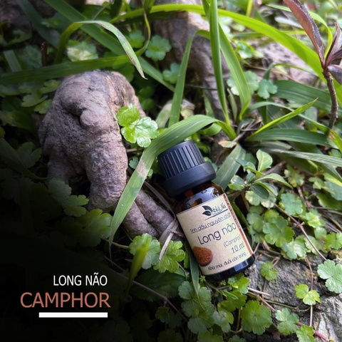 Tinh dầu Long Não CAMPHOR