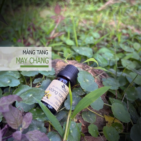 Tinh dầu Màng Tang LITSEA