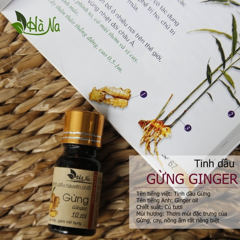 Tinh dầu Gừng GINGER