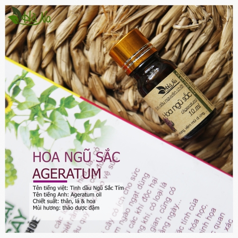 Tinh Dầu Hoa Ngũ Sắc AGETARUM