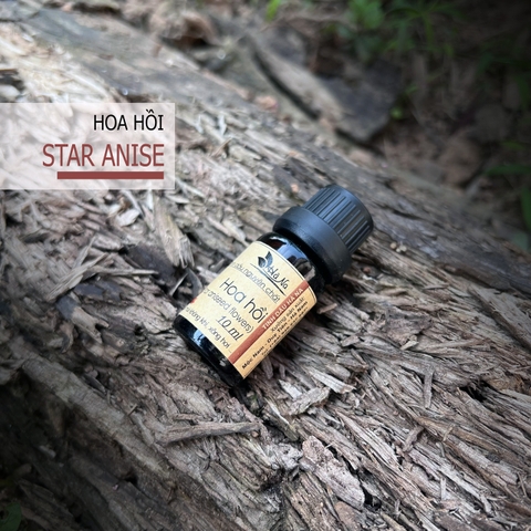Tinh dầu Hoa Hồi STAR ANISEED
