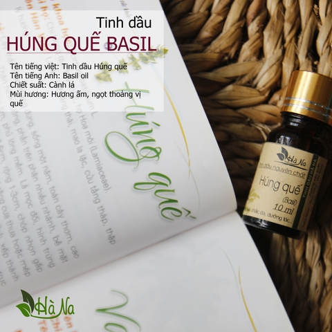 Tinh dầu Húng Quế BASIL