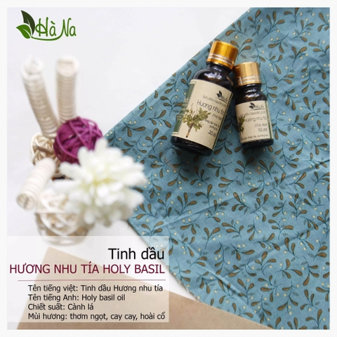 Tinh dầu Hương Nhu Tía HOLY BASIL