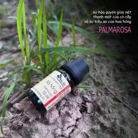 Tinh dầu Sả Hoa Hồng PALMAROSA
