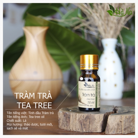 Tinh dầu Tràm Trà TEA TREE