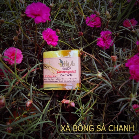 Xà Bông Thảo Dược Sả Chanh