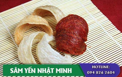 Tổ Yến Sào Hồng Huyết