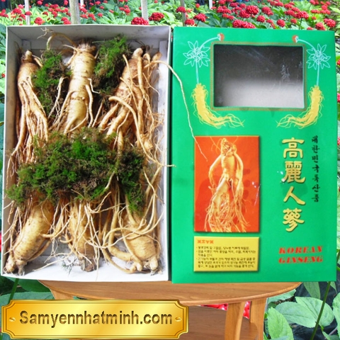 sâm 6 củ 1kg