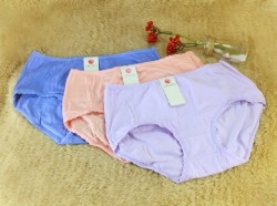 TU1545-L33 quần ONONO-L cotton hộp 3 cái trơn 1 màu