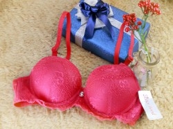 áo lót Sister 844-34 đỏ đệm vừa ren