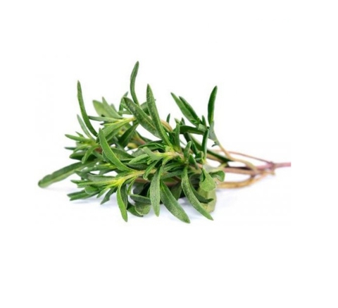 Lá hương thảo (rosemary) Đà Lạt gói 100g