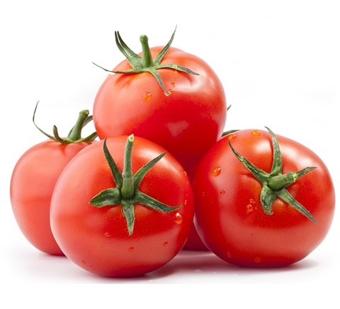 Cà chua hữu cơ Đà Lạt