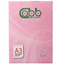 Giấy A3 ĐL70/84 - Bãi Bằng vỏ hồng