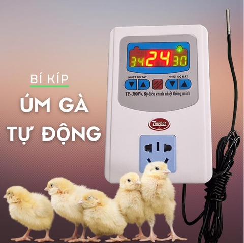 Máy Điều Chỉnh Nhiệt Thông Minh - Bí Kíp Úm Gà Tự Động