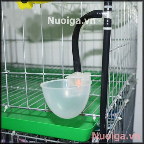 MÁNG UỐNG NƯỚC CHO BỒ CÂU TỰ ĐỘNG