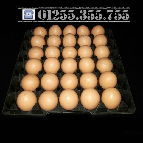 Vỉ đựng trứng 30 quả