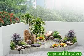 Tiểu Cảnh Sân Vườn 26