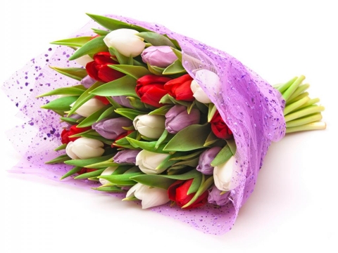 Bó Hoa Tulip
