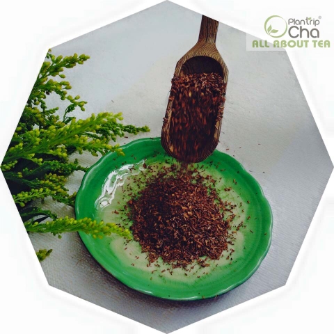 Trà Rooibos Nam Phi