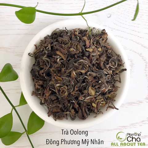 Trà Oolong Đông Phương Mỹ Nhân