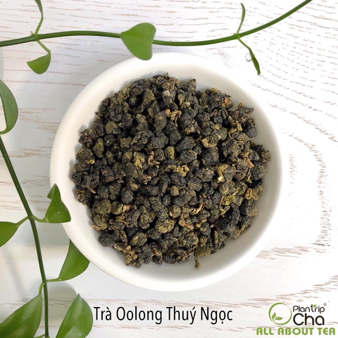 Trà Oolong Thúy Ngọc