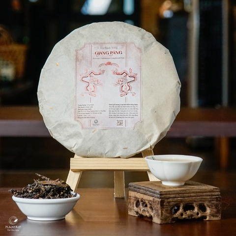 Trà Bánh Sống Giàng Pằng 2022 Thượng Hạng