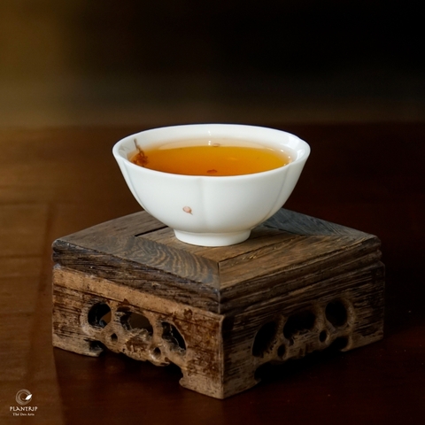 Bạch Trà Hoa Mẫu Đơn Sùng Đô Thượng Hạng