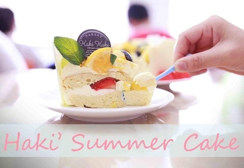 SUMMER CAKE