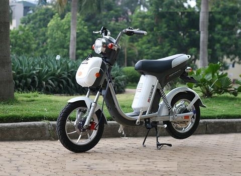 Xe đạp điện Nijia Maxbike 2016 - 20