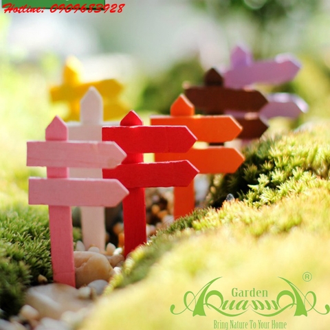 Phụ kiện Terrarium  AquaGarden.
